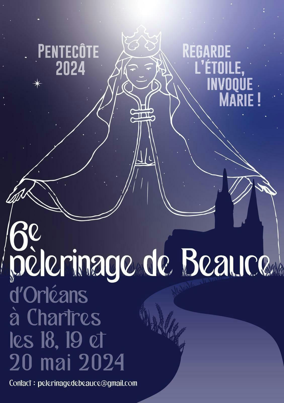 image représentative de l'évènement Pèlerinage Orléans-Chartres 2024